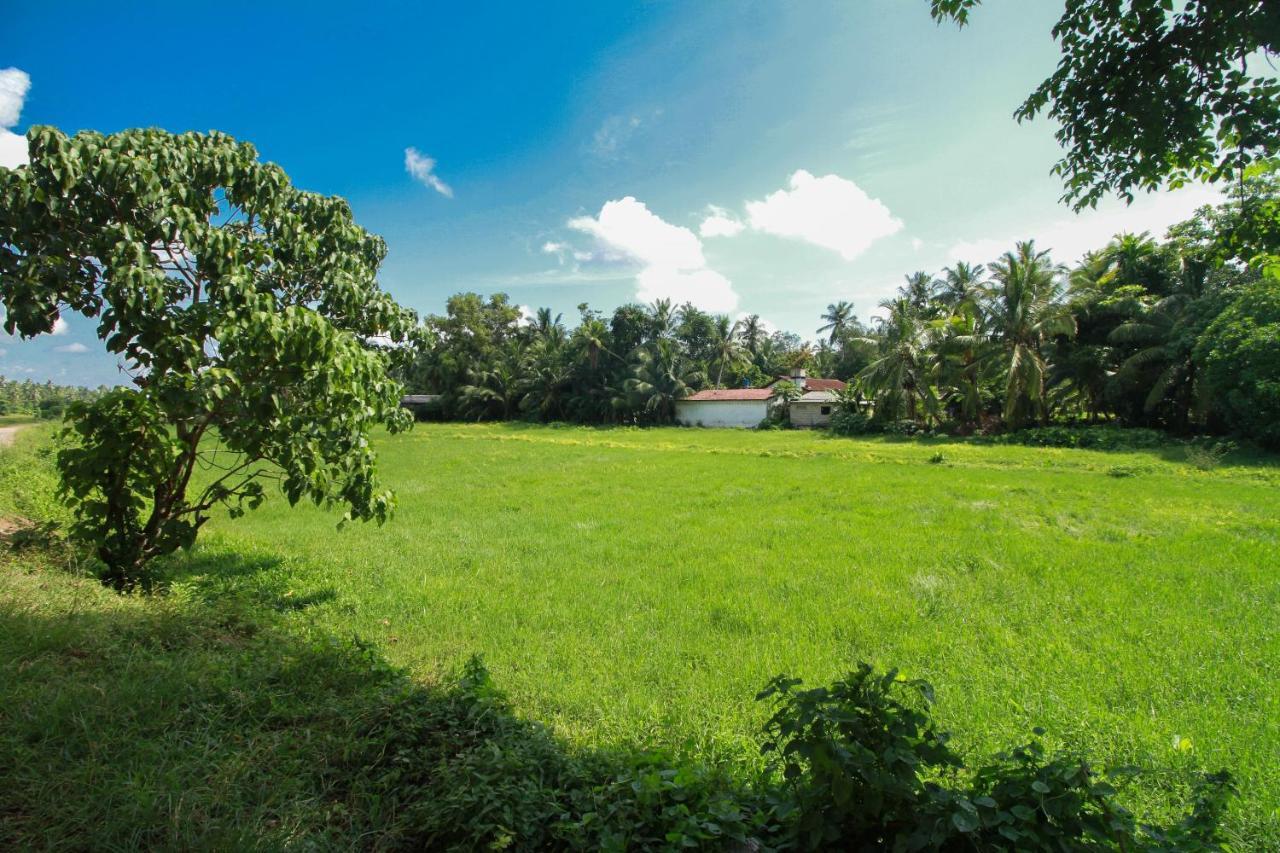 Airport Green View Resort Andiambalama ภายนอก รูปภาพ